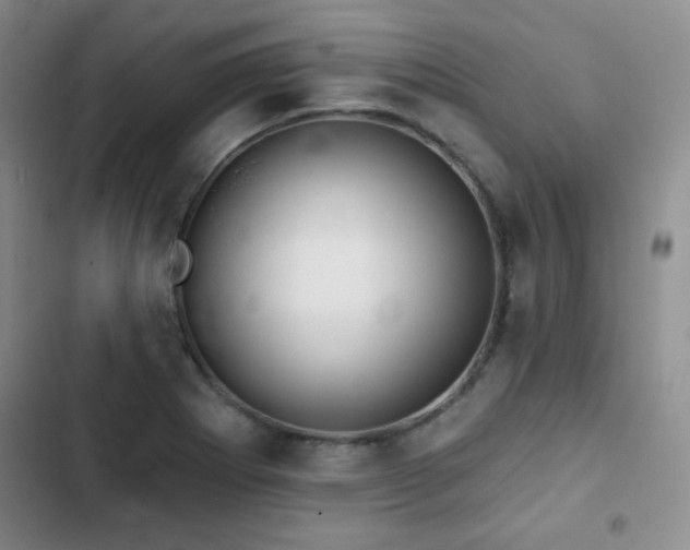 X0000103151273200808221322