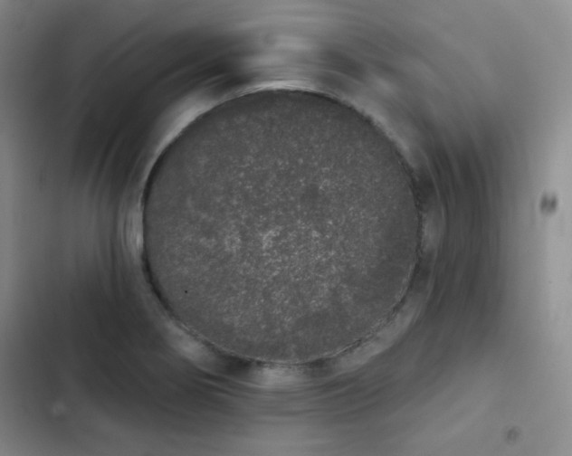 X0000103151274200808221322