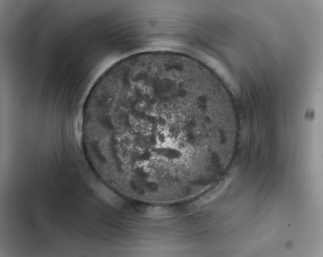 X0000103151275200808221322