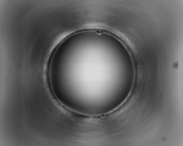 X0000103151277200808221322