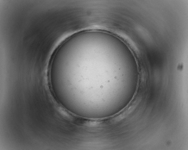 X0000103151278200808221322