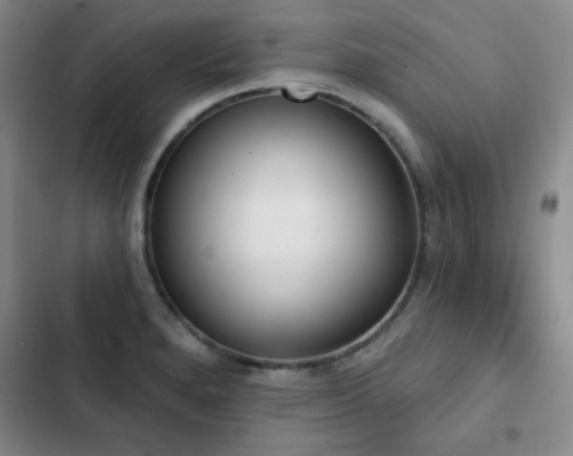 X0000103151280200808221322
