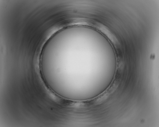 X0000103151282200808221322