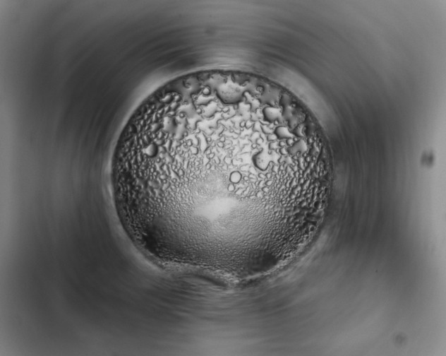 X0000103151283200808221322
