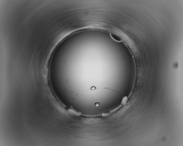 X0000103151284200808221322