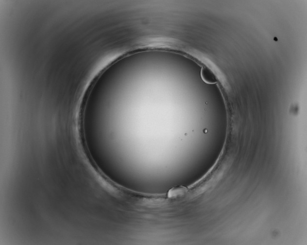X0000103151285200808221322