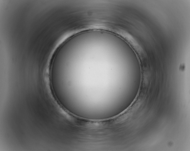 X0000103151286200808221322