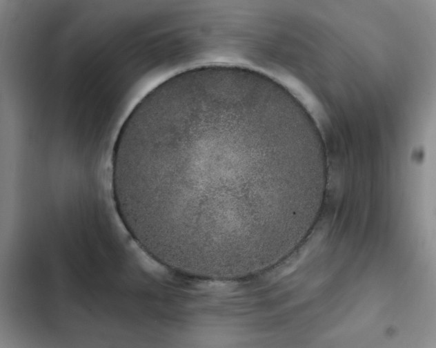 X0000103151287200808221322