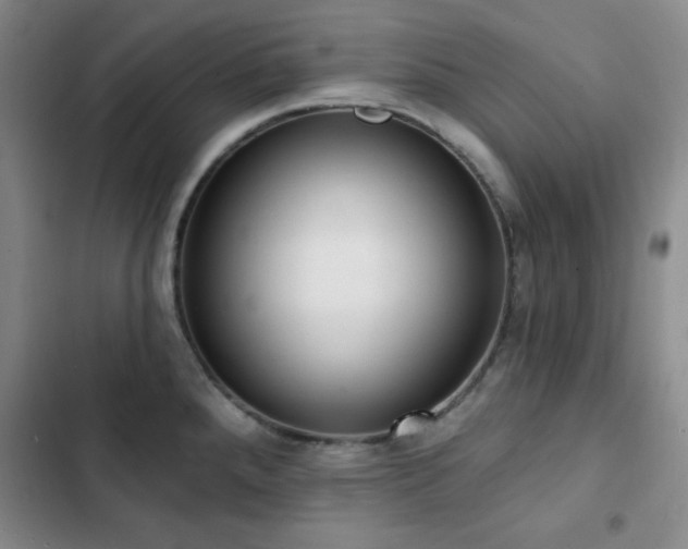 X0000103151288200808221322