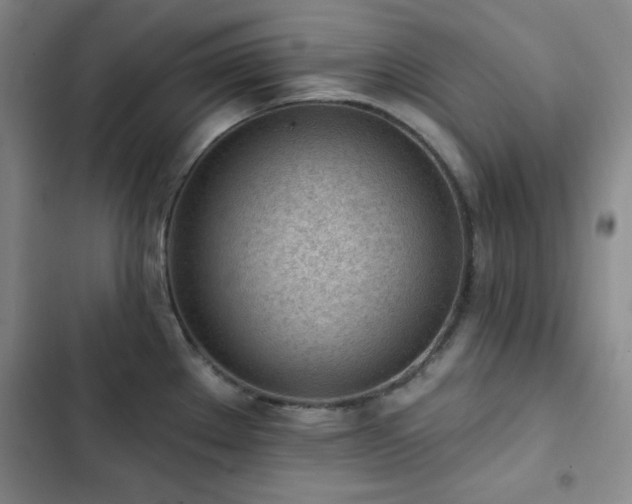 X0000103151289200808221322