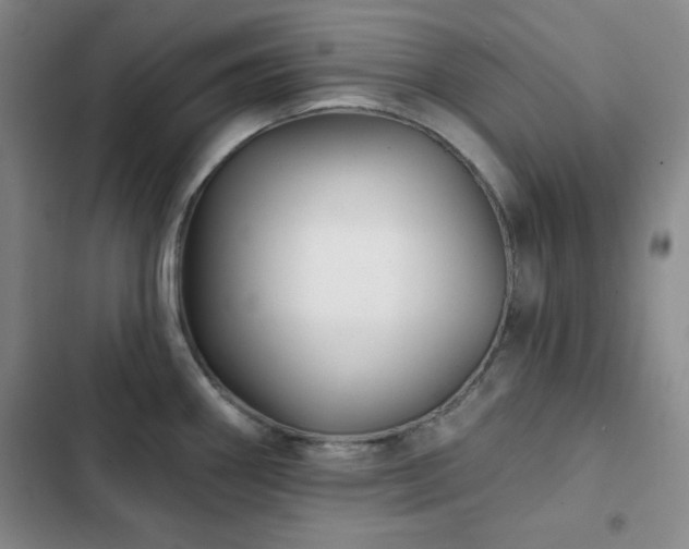 X0000103151290200808221322