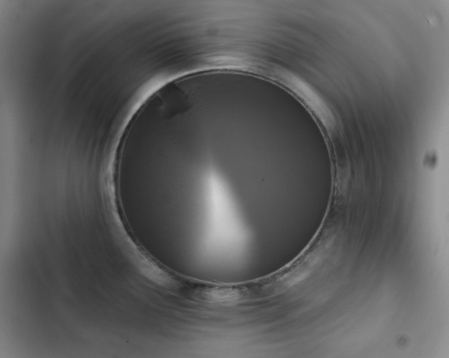 X0000103151291200808221322