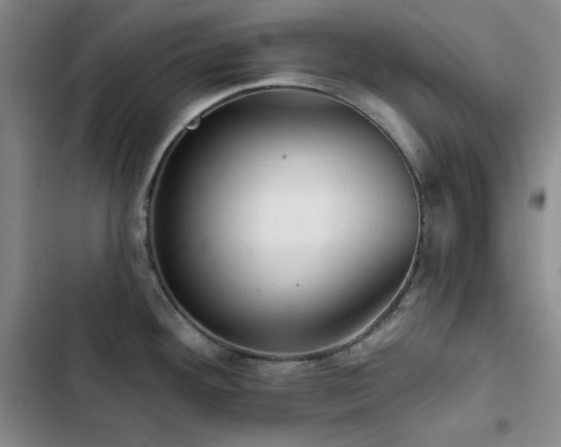X0000103151292200808221322