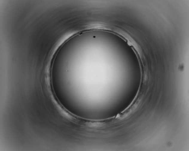 X0000103151293200808221322