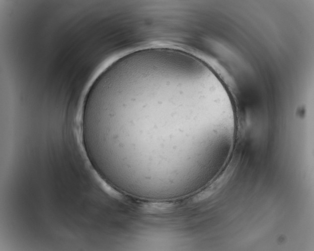 X0000103151294200808221322