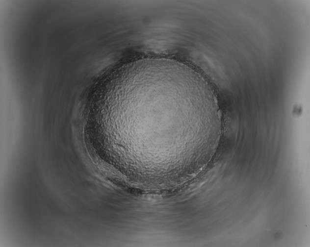 X0000103151297200808221321