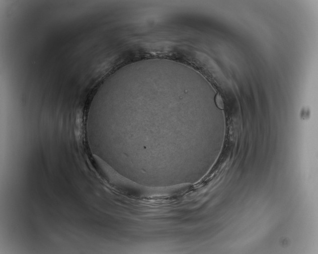 X0000103151298200808221321