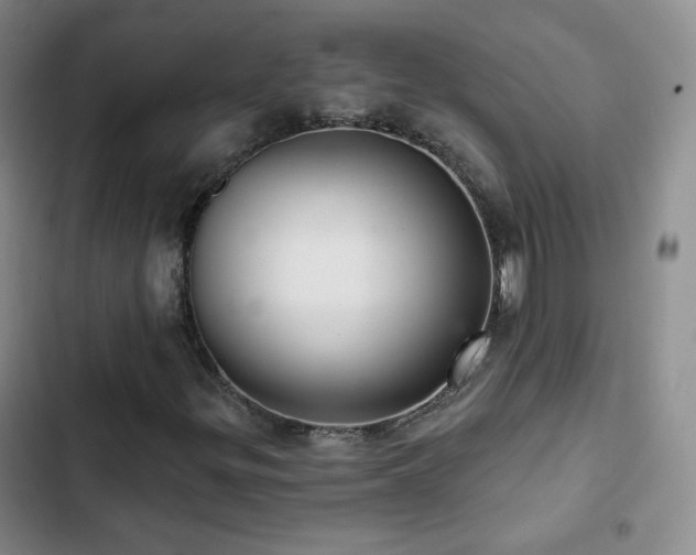 X0000103151299200808221321