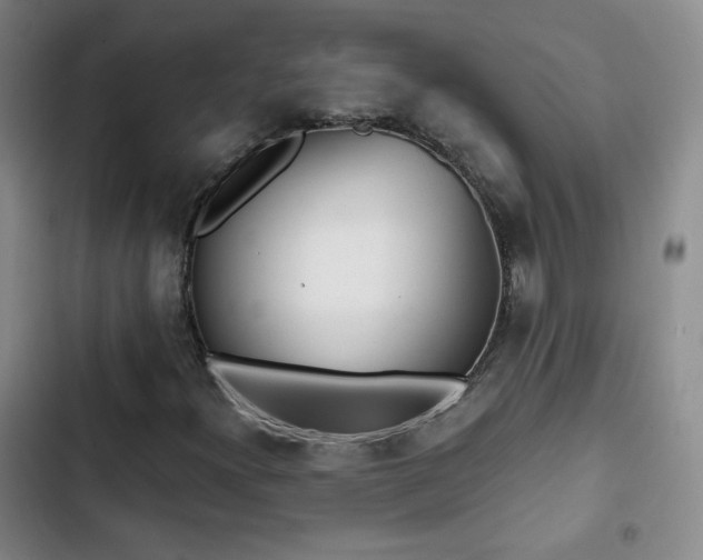 X0000103151300200808221321