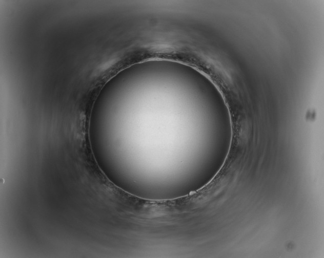 X0000103151301200808221321