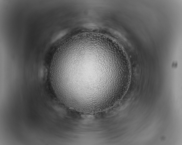 X0000103151302200808221321