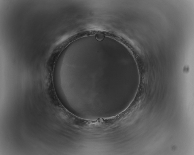 X0000103151303200808221321