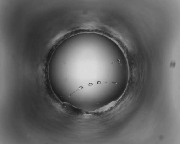 X0000103151304200808221321