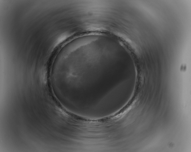 X0000103151306200808221321
