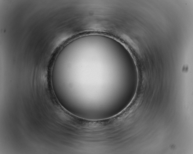 X0000103151307200808221321