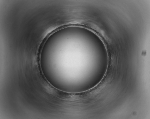 X0000103151308200808221321