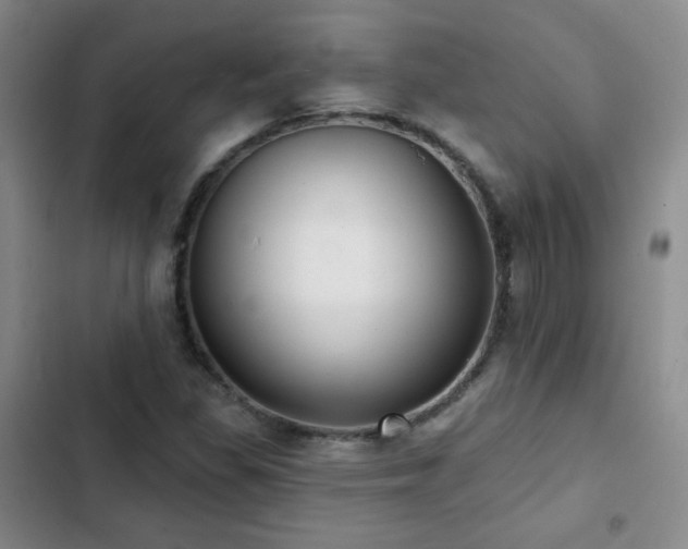 X0000103151309200808221321