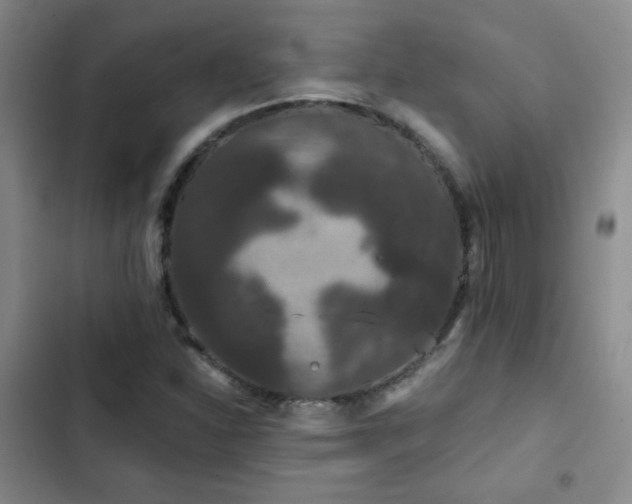 X0000103151310200808221321