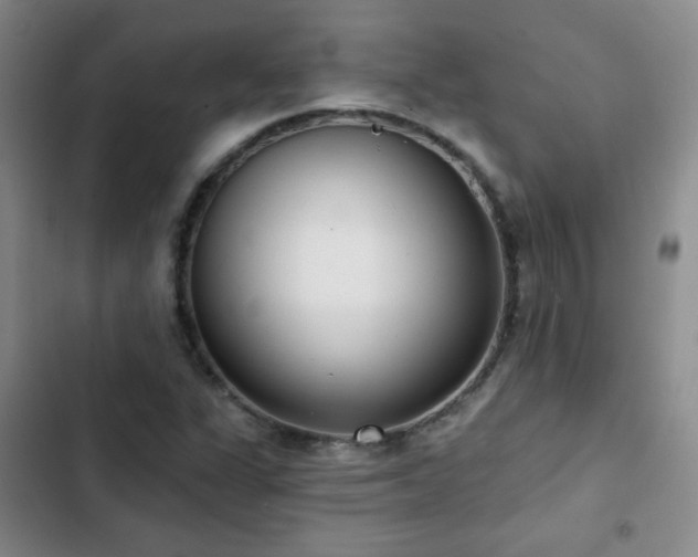 X0000103151311200808221321