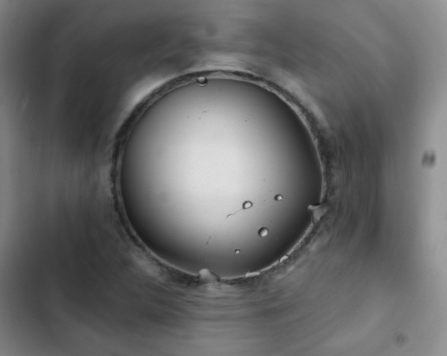 X0000103151312200808221321