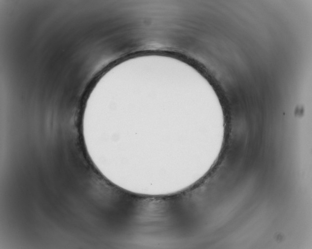 X0000103151314200808221321