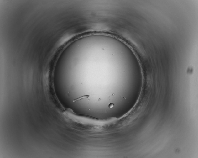 X0000103151315200808221321