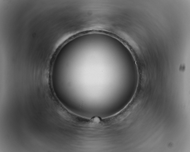 X0000103151316200808221321