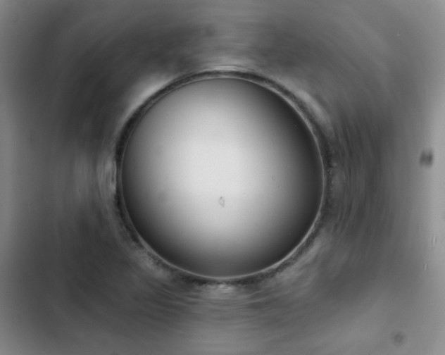X0000103151317200808221321