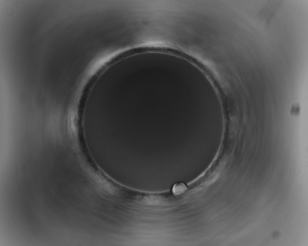 X0000103151319200808221321