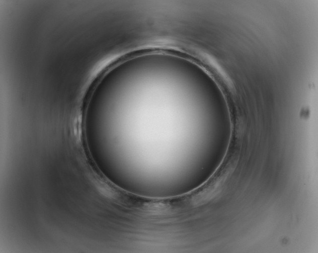 X0000103151320200808221321