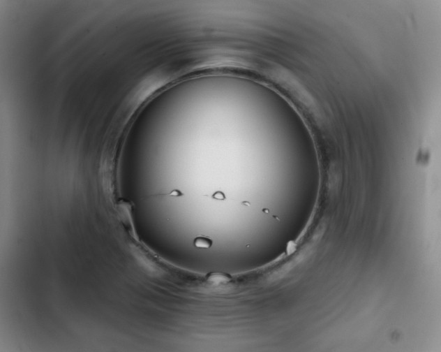 X0000103151321200808221321