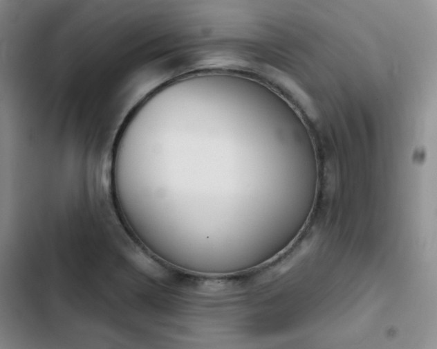 X0000103151322200808221321