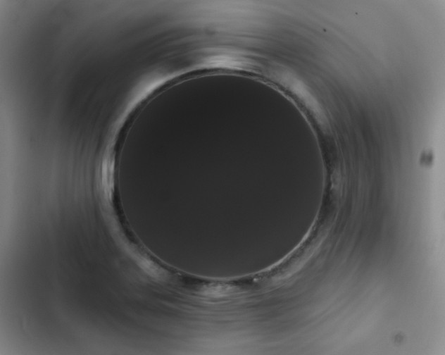 X0000103151323200808221321