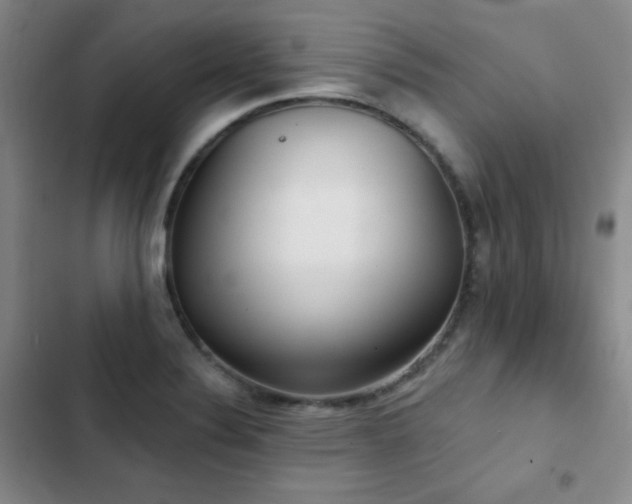X0000103151324200808221321