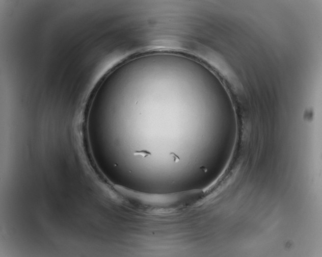X0000103151325200808221321