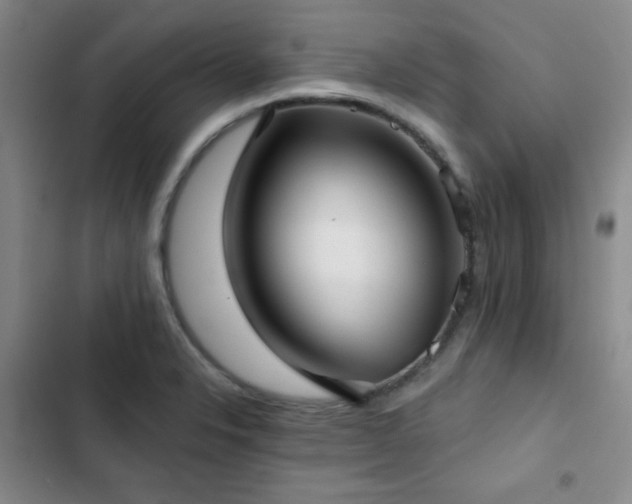 X0000103151326200808221321