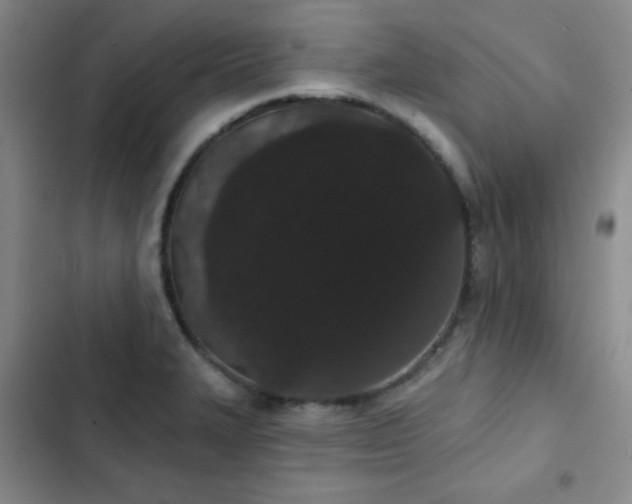 X0000103151327200808221321