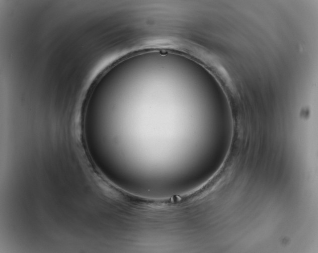 X0000103151328200808221321