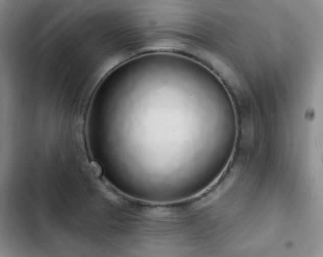X0000103151329200808221321