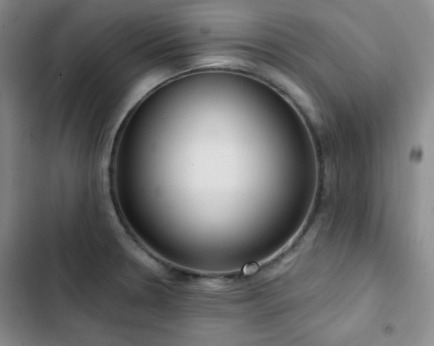 X0000103151330200808221321